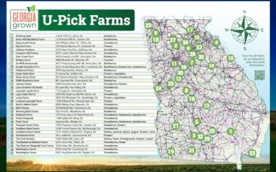 Georgia Grown Releases Official 2025 You-Pick Agritourism Map