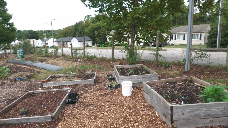 Garden boxes.