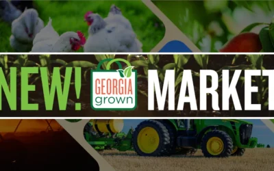 Fresh From Georgia: New Online Market Supports Local Farmers And Artisans