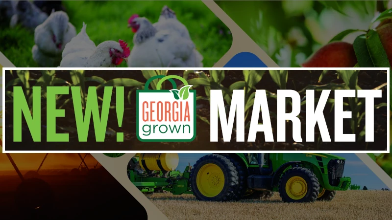 Georgia Grown Market Banner