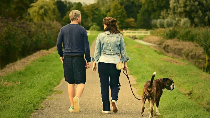 Couple walking with a dog