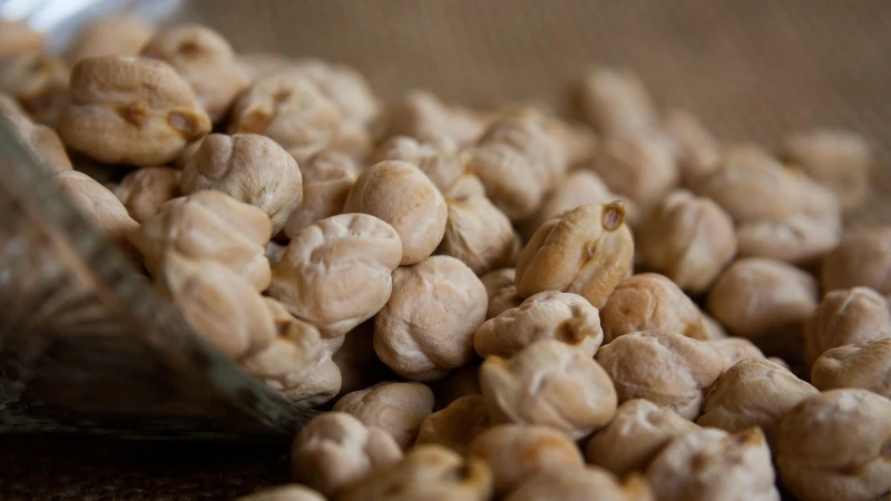 Dried chickpeas