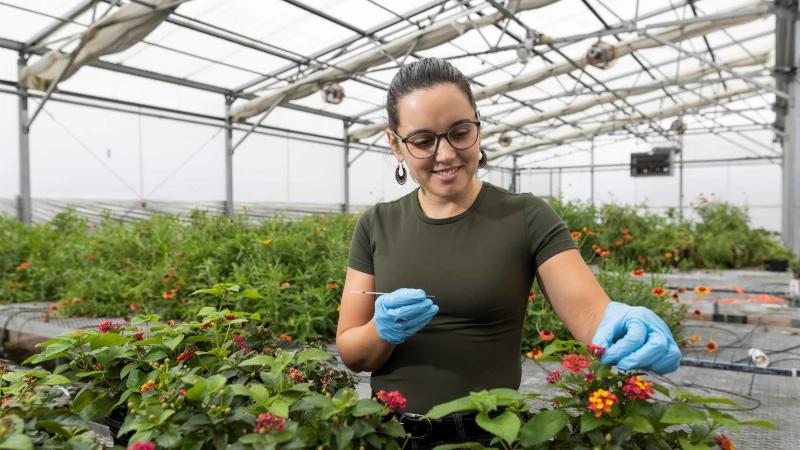 Vanesa Rostan working on flowers.
