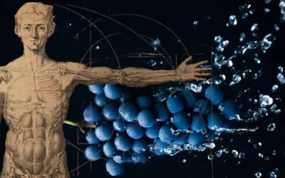 Inside The Body’s Nutrient Highways: The Key To Targeting Cancer And Chronic Disease