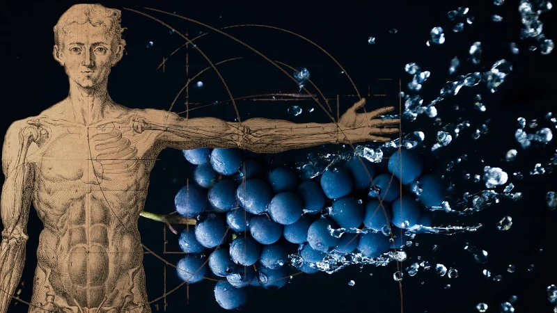 Blueberries in water with Human body overlay