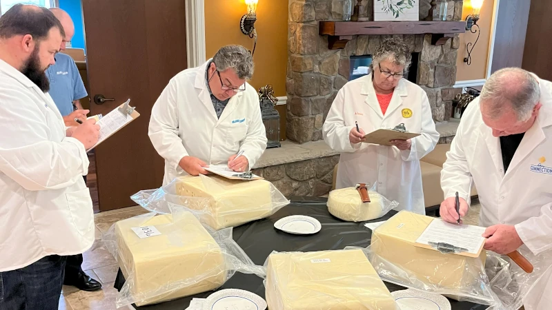 Judges judging cheeses.