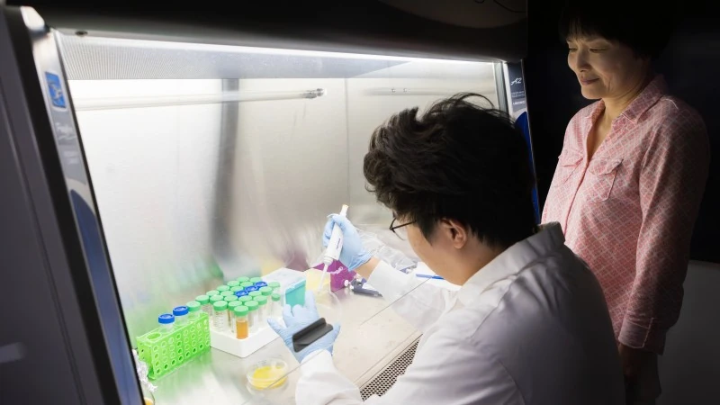 Researchers in a lab.