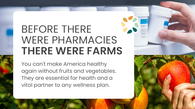Food is as medicine poster