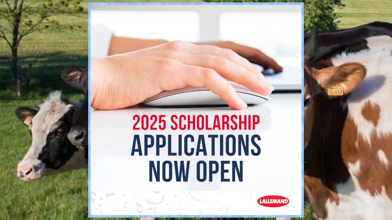 Lallemand Animal Nutrition Scholarship Apply Now Poster