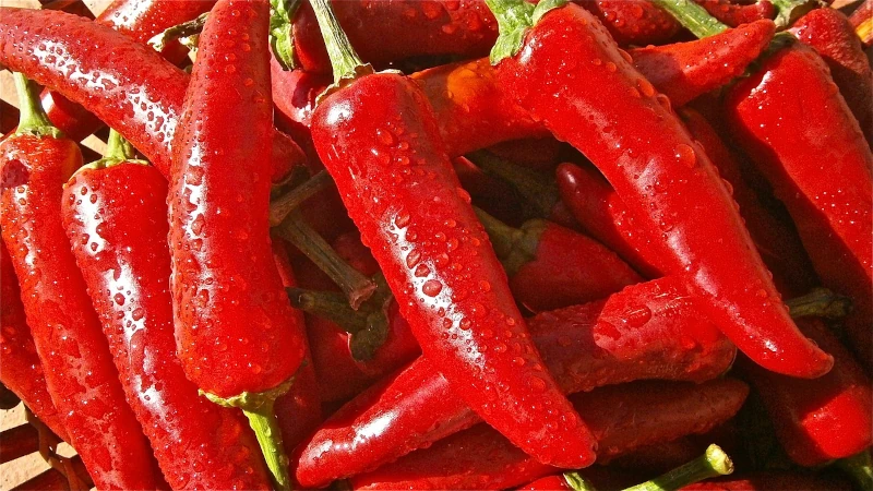Red peppers