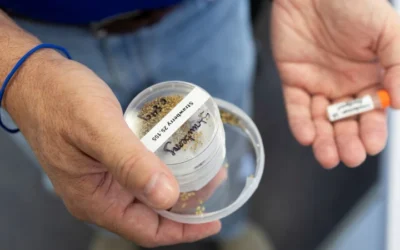 UF Scientists Launch Seeds To Space To Build Climate-Resilient Crops On Earth