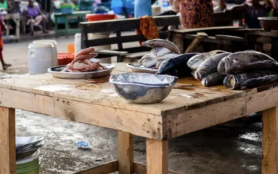 Seafood Trade Analysis: Why Poorer Nations Get A Nutritional Edge