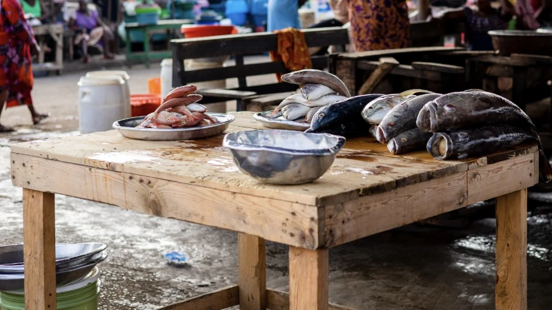 Table of fresh fish.