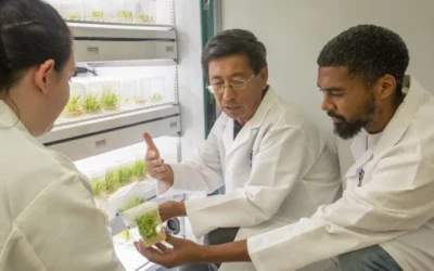 N.C. A&T’s Guochen Yang Honored As 2025 HortLegend For Pioneering Work In Plant Science