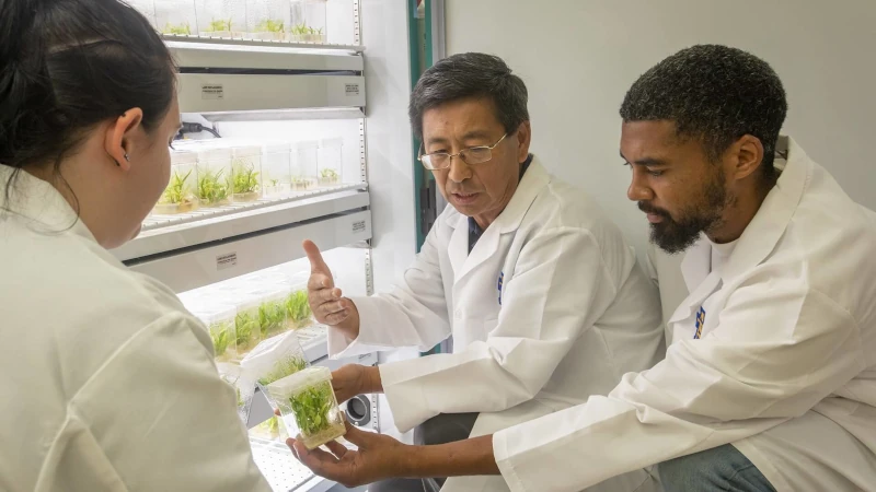 Three scientists in a plant lab.