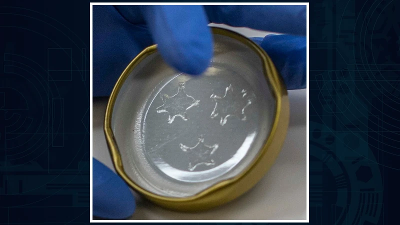 Closeup image of botulism detecting ink.