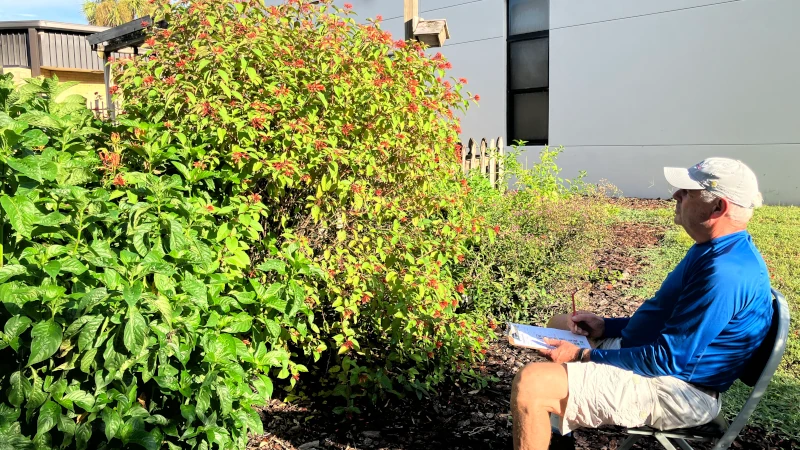 Man counting pollinators