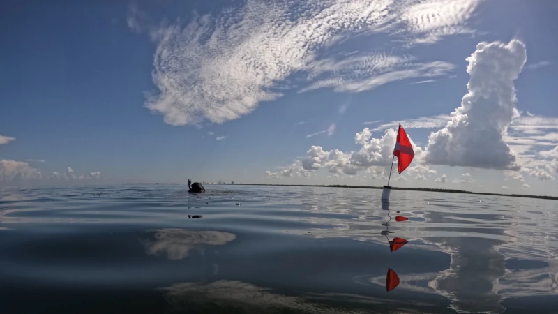 Diver marking area in the water with a flag.