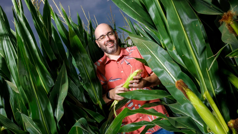 James Schnable in a corn field. 