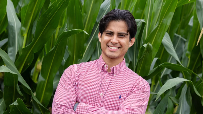 Vladimir Torres-Rodriguez in a corn field. 