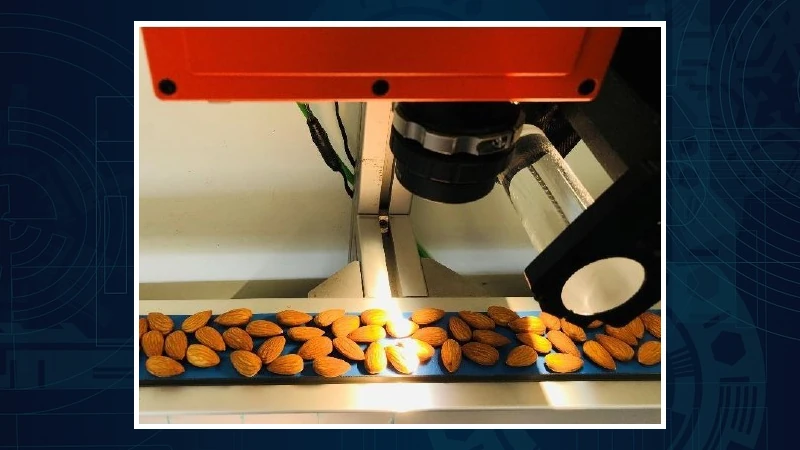 Almonds being scanned.