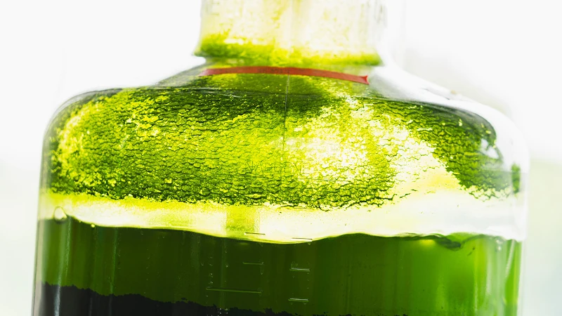 Closeup of a fluid filled beaker