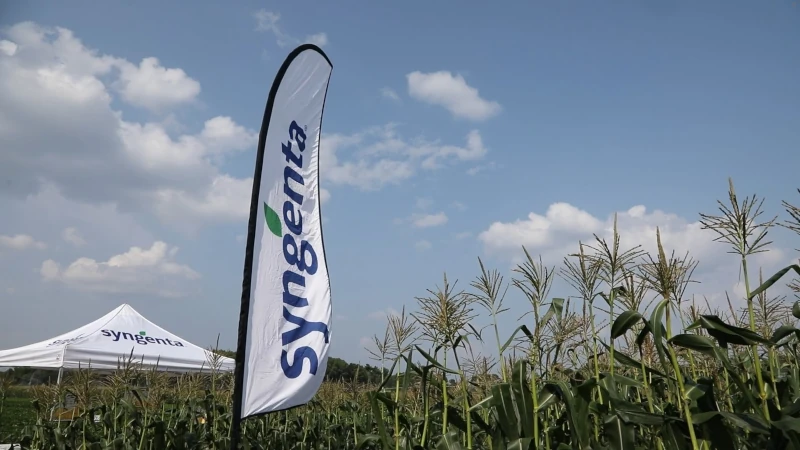 Syngenta flag