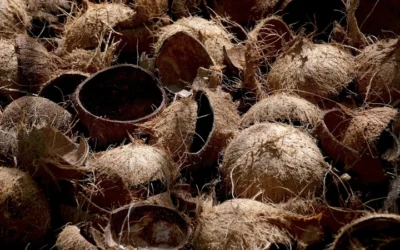 Turning Fruit And Veggie Scraps Into Solutions: Four New Scientific Discoveries For Food Waste