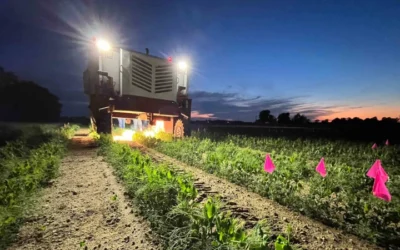 No Herbicides Needed: Rutgers Tests Laser-Powered Weed Control With AI Precision