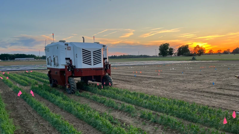 Weed killing laser tractor in field