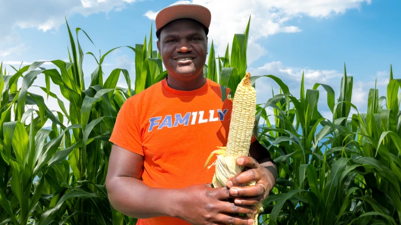 Chris Mujjabi with his white corn hybrid