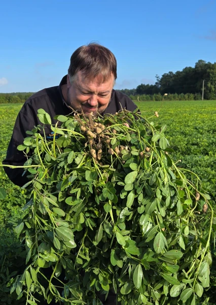 Chip Carter in peanut field holding a bushel of peanuts