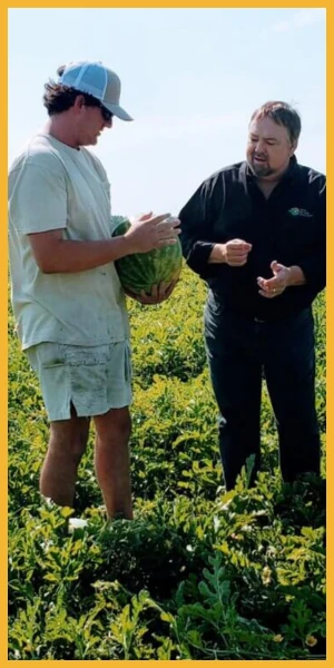 Two men in watermelon field. 