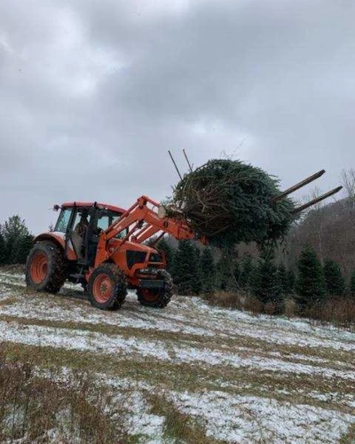 Christmas tree on a tractor.