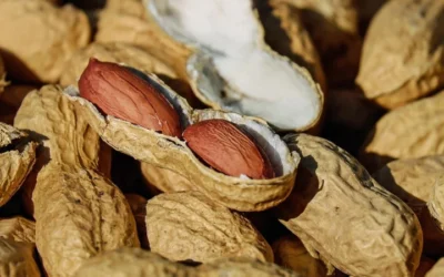How Peanuts And Peanut Butter May Support Cognitive Health And Memory