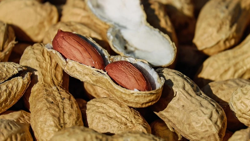 closeup of a pile of peanuts