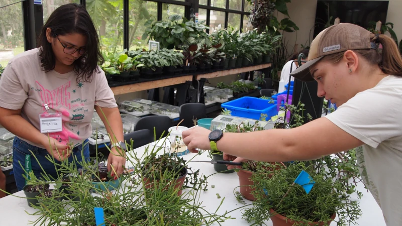 Two students gardening.