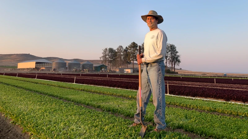 Farmer in field