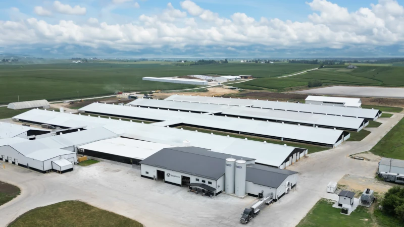 Overhead shot of dairy facility. 