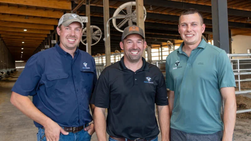 3 men in dairy barn. 