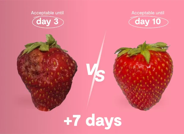 Strawberry by age chart