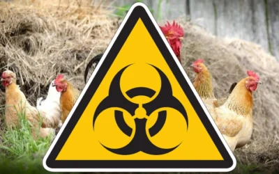 Sixteen Biosecurity Threats Putting U.S. Agriculture, Food Prices, And Farmers At Risk