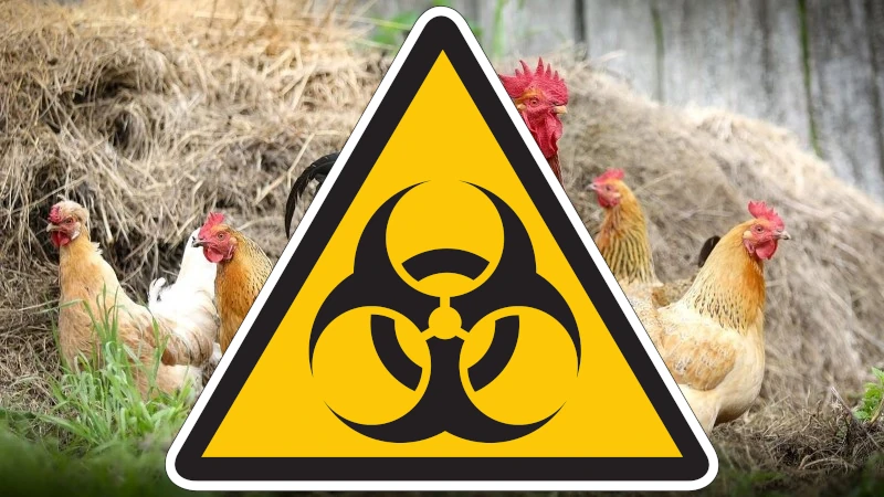 Biohazard sign
