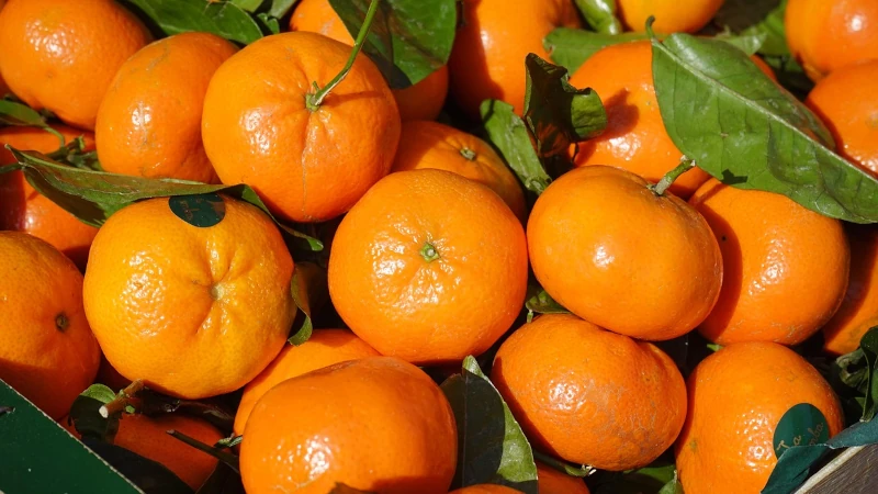 Bowl of clementines