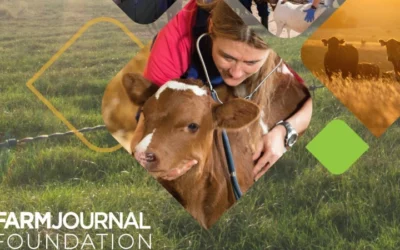 Rural Veterinary Shortage Threatens U.S. Food Security And Public Health, New Report Finds