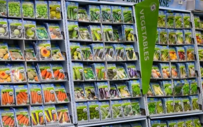 Grow Your Own Fiber: Expert Tips For Planting High-Fiber Fruits And Vegetables At Home