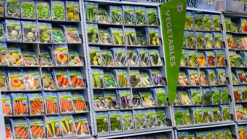 Vegetable seed packets on a store shelf.