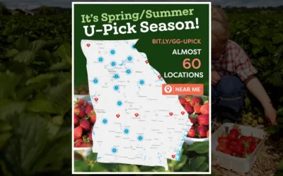 30 Georgia Farms Where You Can Pick Your Own Produce This Spring