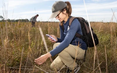 Everyone Can Make A Difference Through Citizen Science This Earth Day —  Just Use Your Phone To Help Scientists