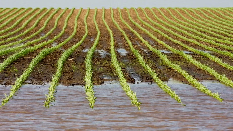 Flooded farm field